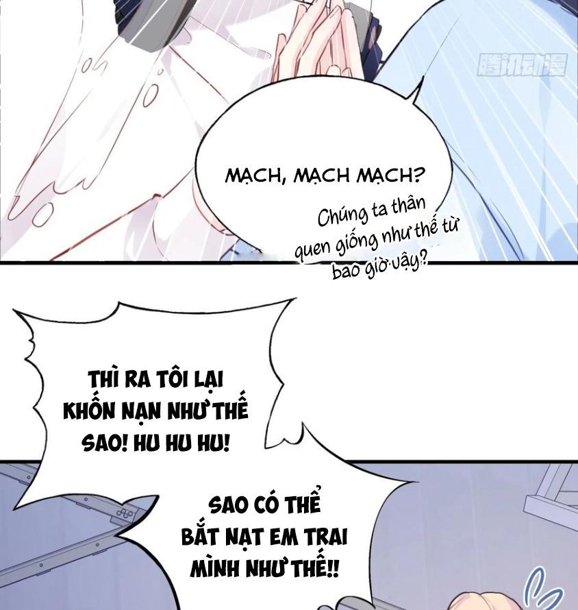 Anh Ấy Chưa Từng Sa Ngã - Chapter 62 - Page 11