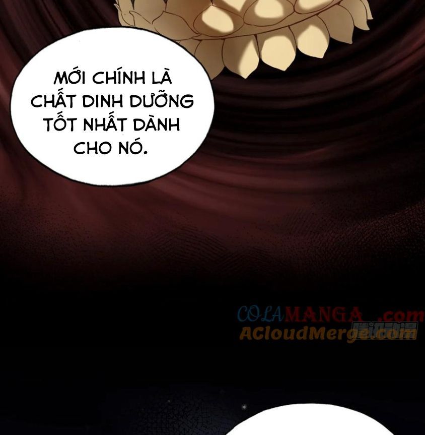 Anh Ấy Chưa Từng Sa Ngã - Chapter 69 - Page 28