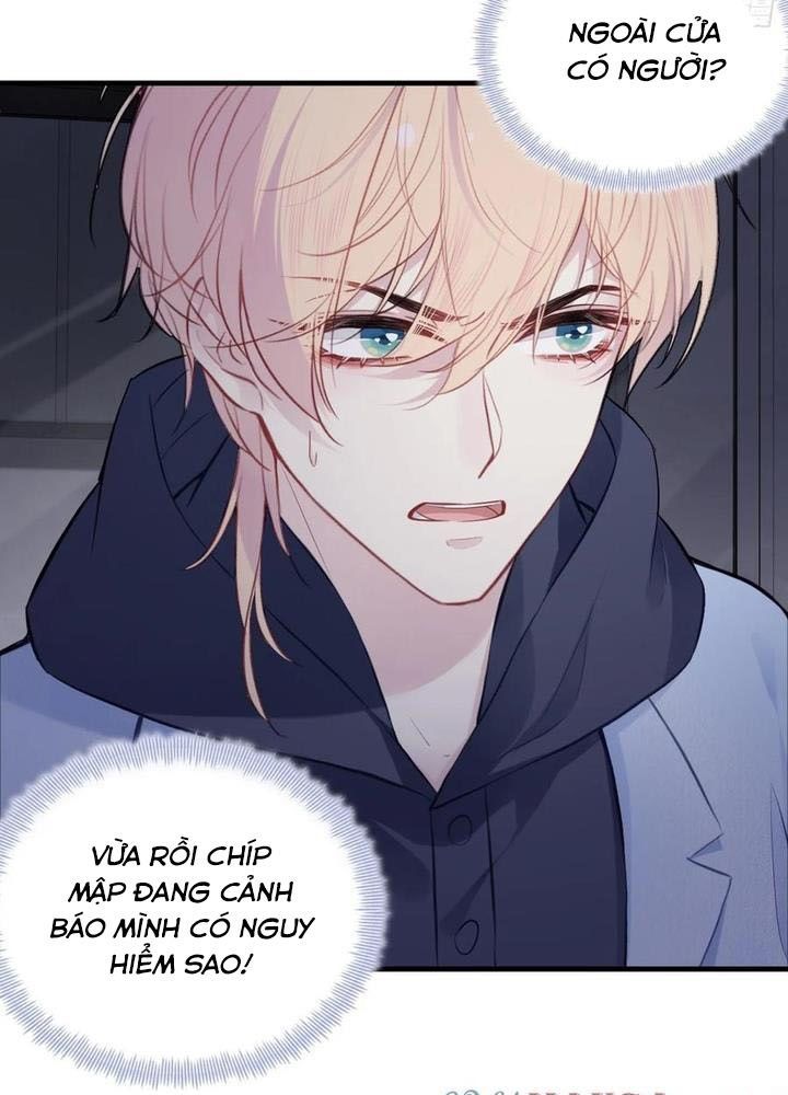 Anh Ấy Chưa Từng Sa Ngã - Chapter 71 - Page 10