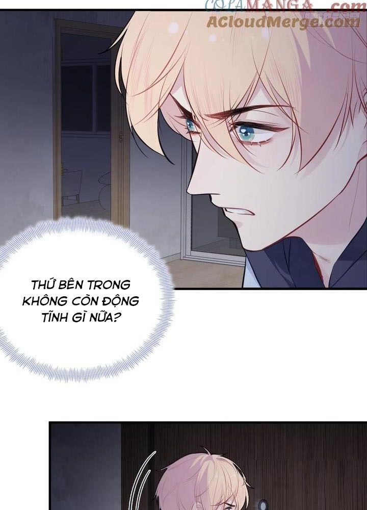 Anh Ấy Chưa Từng Sa Ngã - Chapter 71 - Page 11