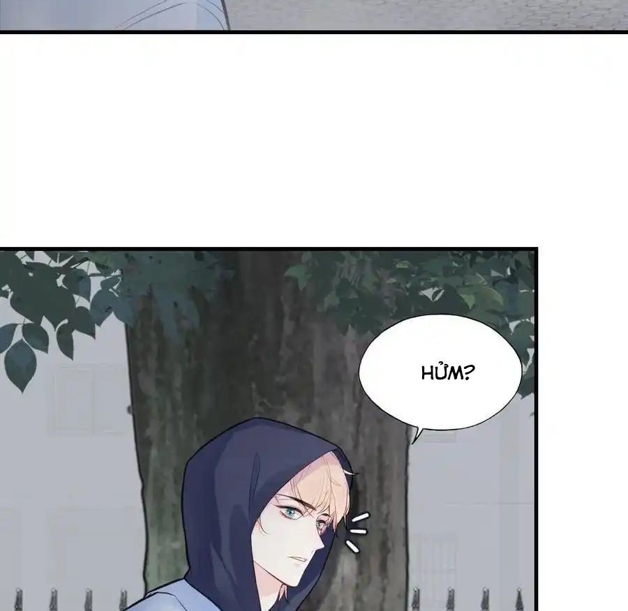 Anh Ấy Chưa Từng Sa Ngã - Chapter 75 - Page 40