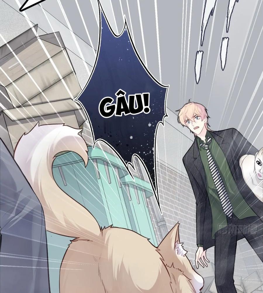 Anh Ấy Chưa Từng Sa Ngã - Chapter 78 - Page 30