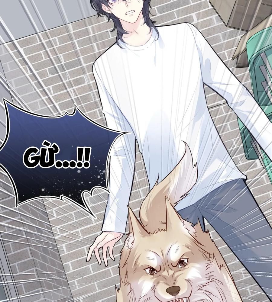 Anh Ấy Chưa Từng Sa Ngã - Chapter 78 - Page 32