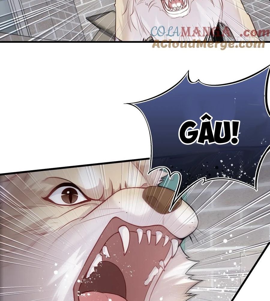 Anh Ấy Chưa Từng Sa Ngã - Chapter 78 - Page 33