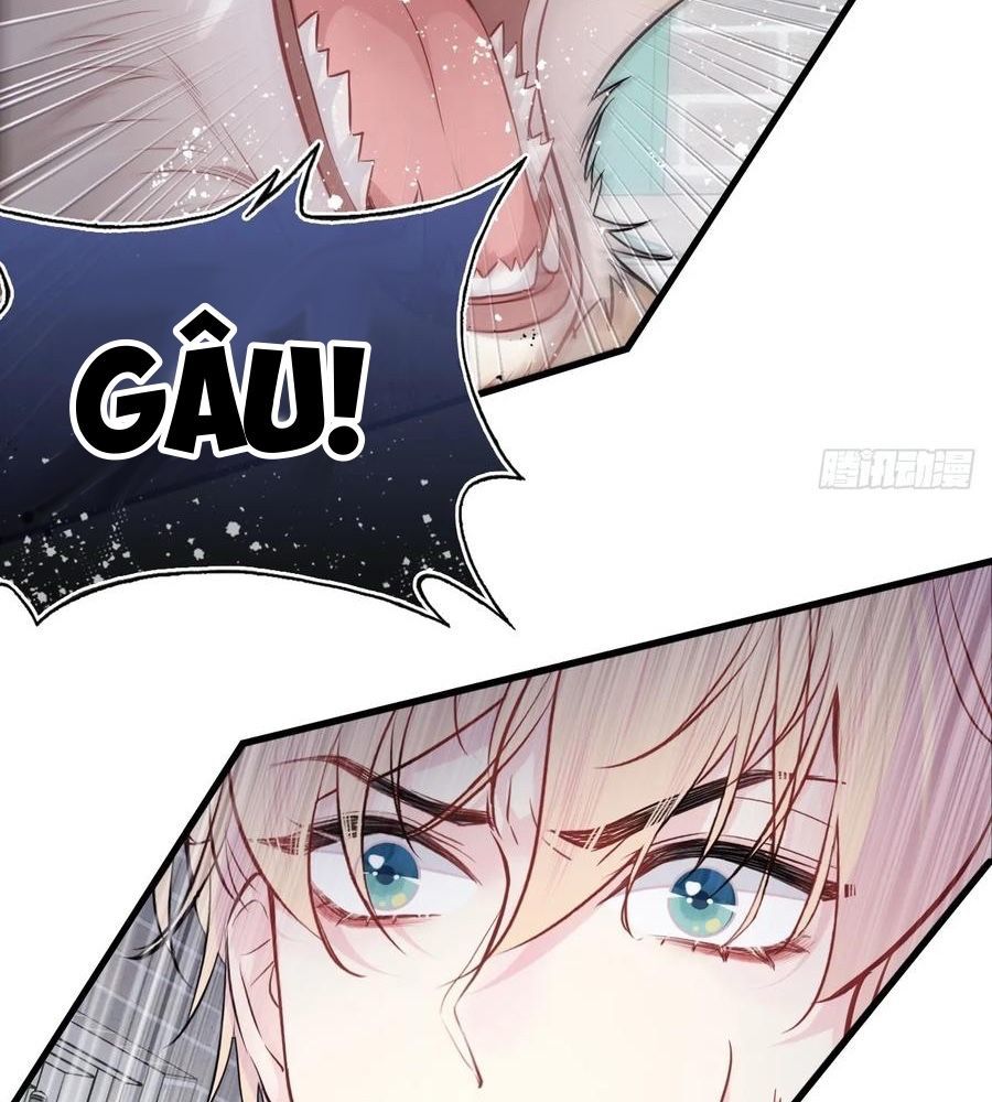 Anh Ấy Chưa Từng Sa Ngã - Chapter 78 - Page 34