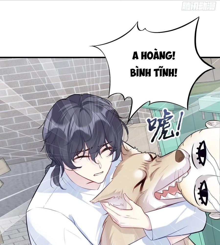 Anh Ấy Chưa Từng Sa Ngã - Chapter 78 - Page 40