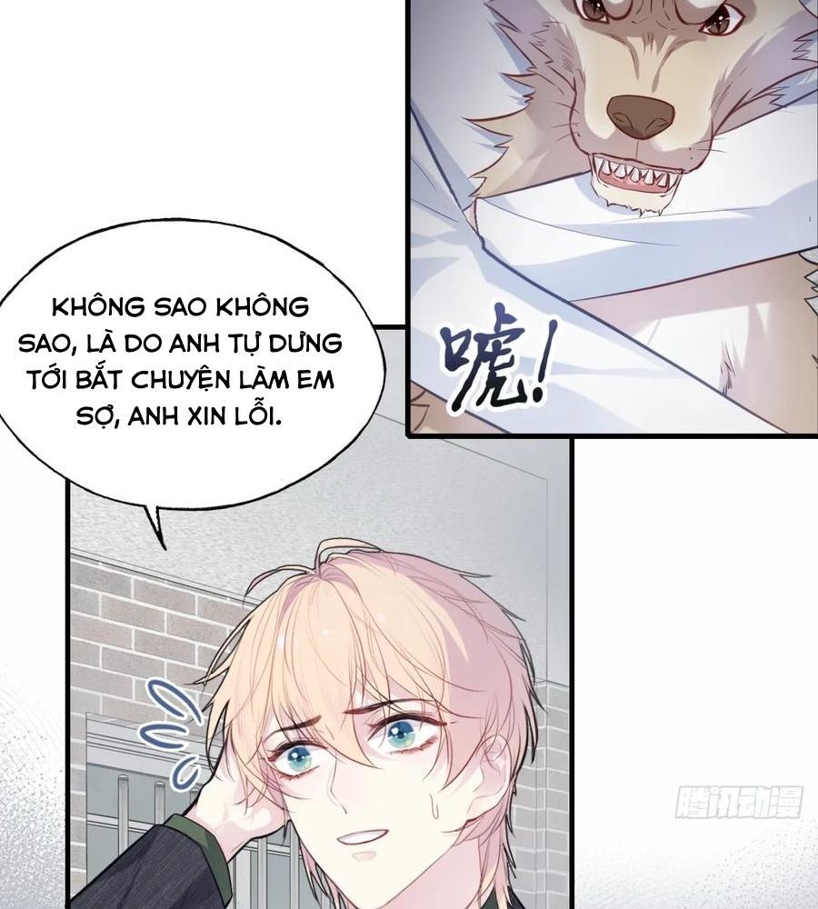 Anh Ấy Chưa Từng Sa Ngã - Chapter 78 - Page 43