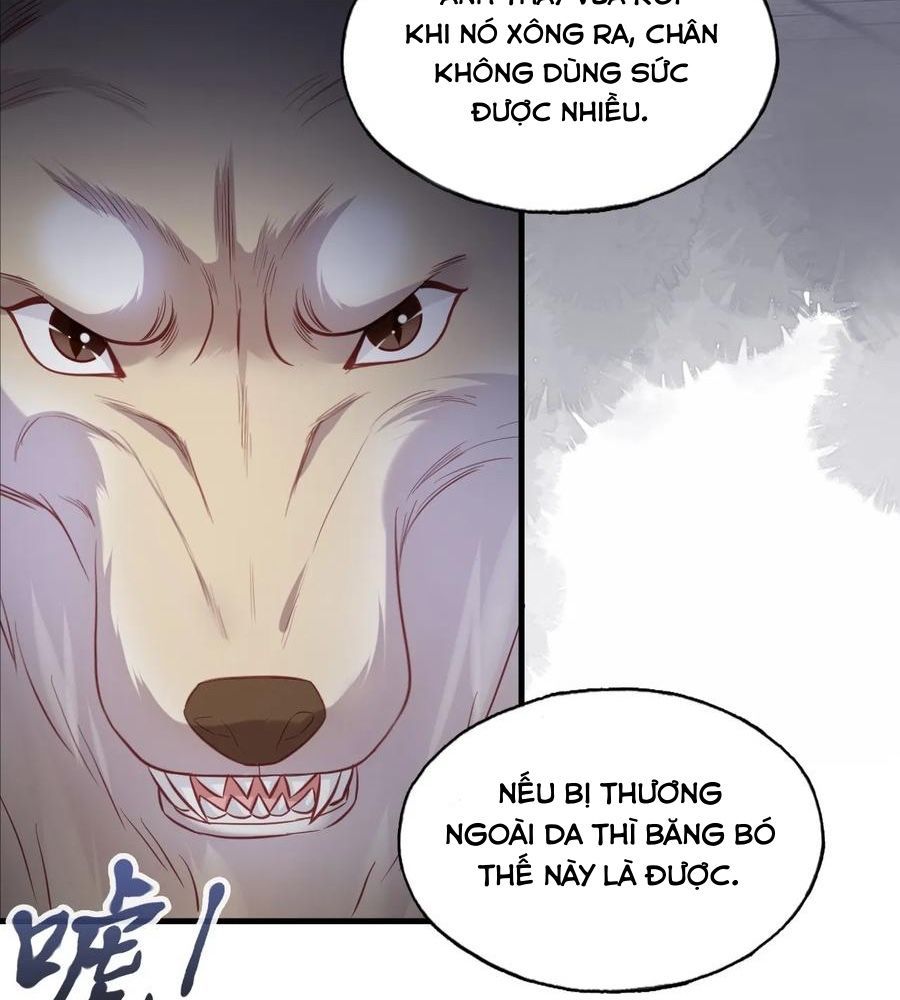 Anh Ấy Chưa Từng Sa Ngã - Chapter 78 - Page 55