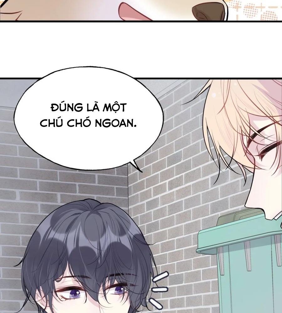 Anh Ấy Chưa Từng Sa Ngã - Chapter 78 - Page 59