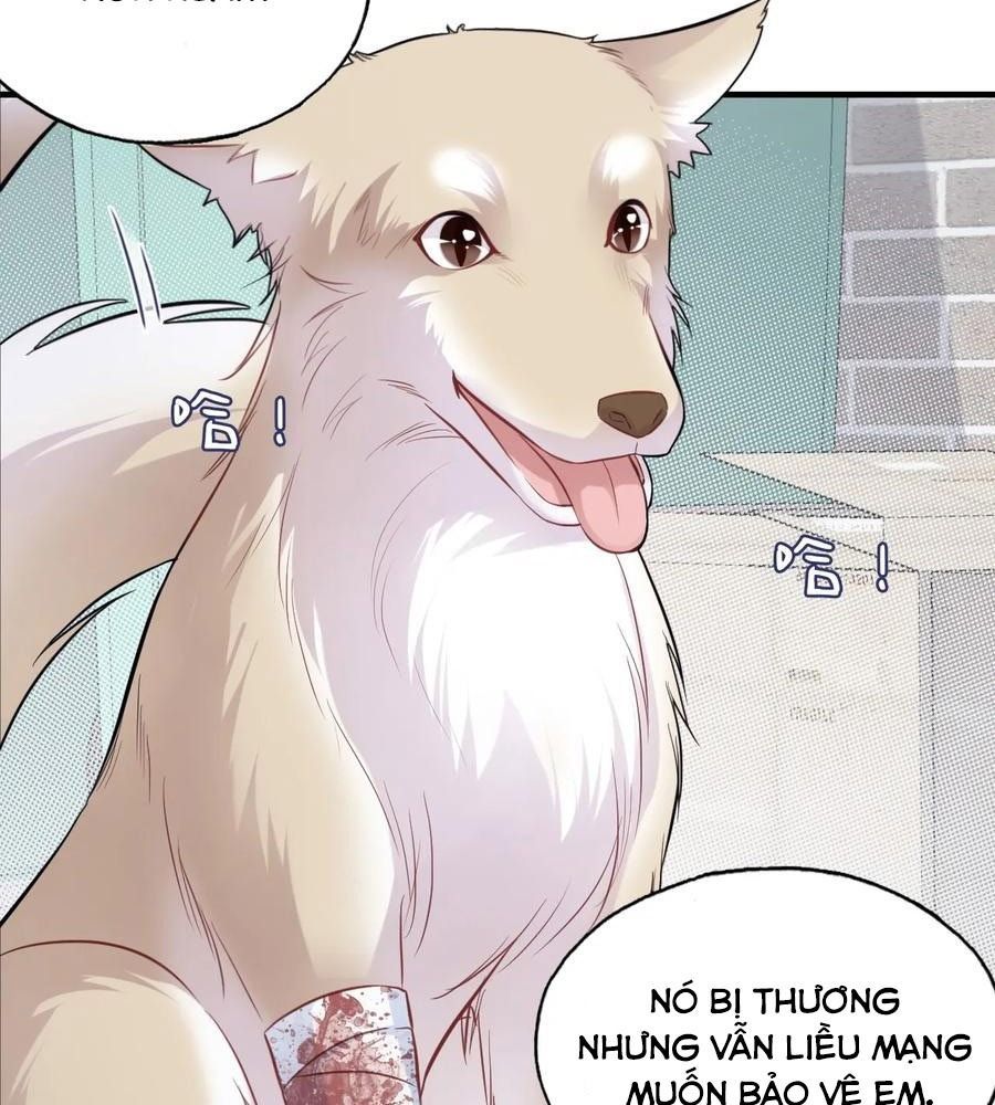 Anh Ấy Chưa Từng Sa Ngã - Chapter 79 - Page 10