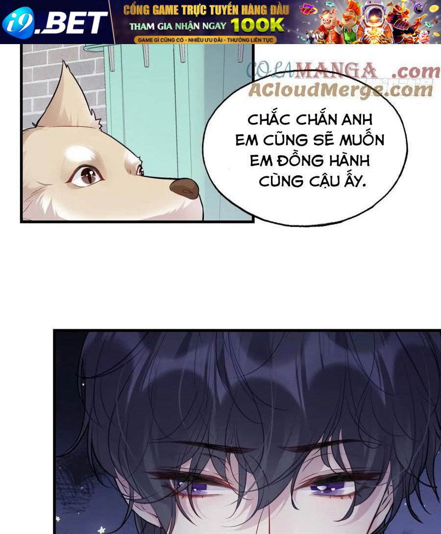 Anh Ấy Chưa Từng Sa Ngã - Chapter 79 - Page 20