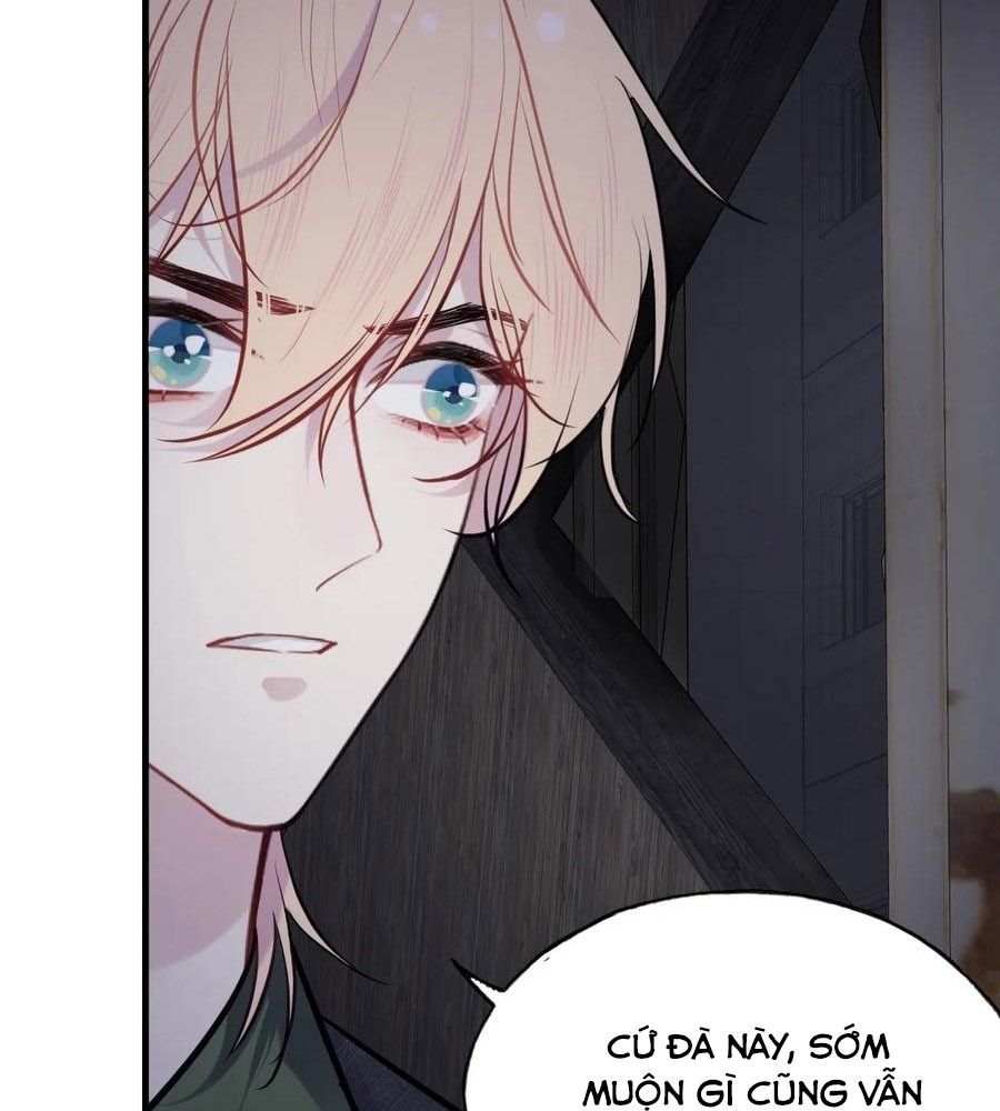 Anh Ấy Chưa Từng Sa Ngã - Chapter 80 - Page 6