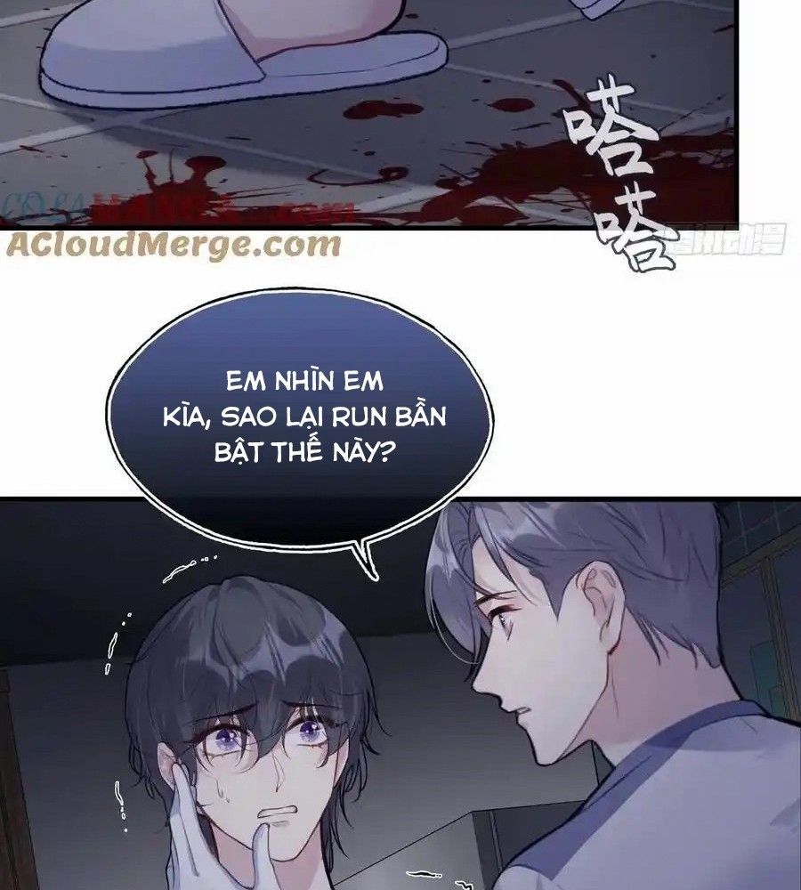 Anh Ấy Chưa Từng Sa Ngã - Chapter 81 - Page 36