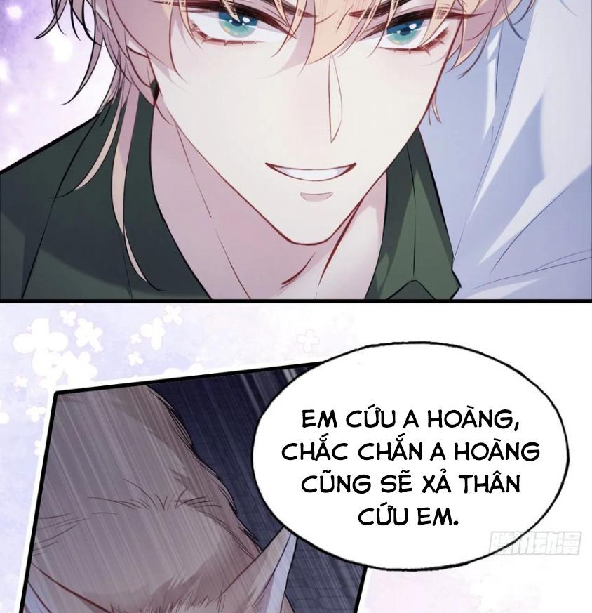 Anh Ấy Chưa Từng Sa Ngã - Chapter 84 - Page 40