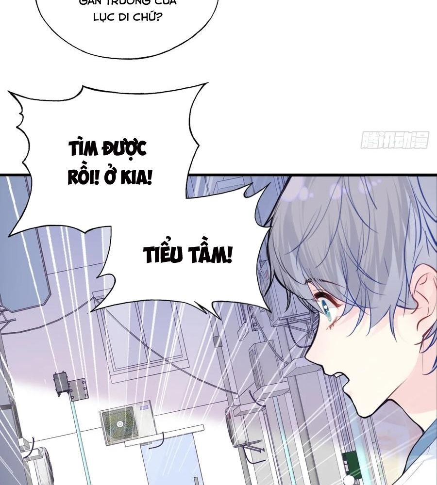 Anh Ấy Chưa Từng Sa Ngã - Chapter 91 - Page 11