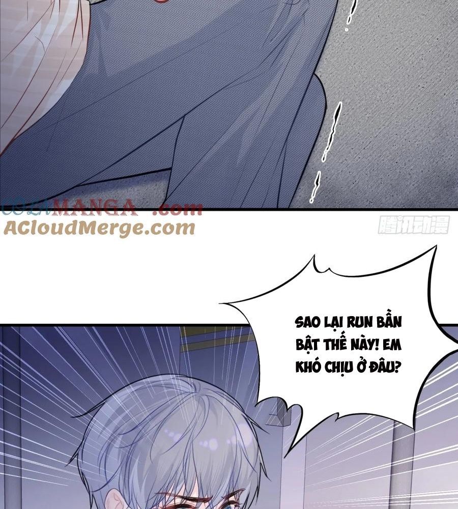 Anh Ấy Chưa Từng Sa Ngã - Chapter 91 - Page 14