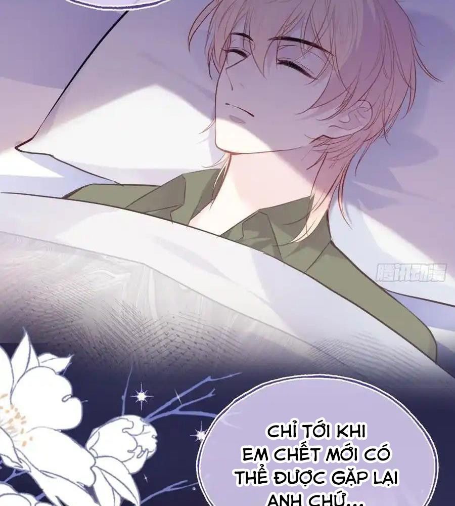 Anh Ấy Chưa Từng Sa Ngã - Chapter 92 - Page 64