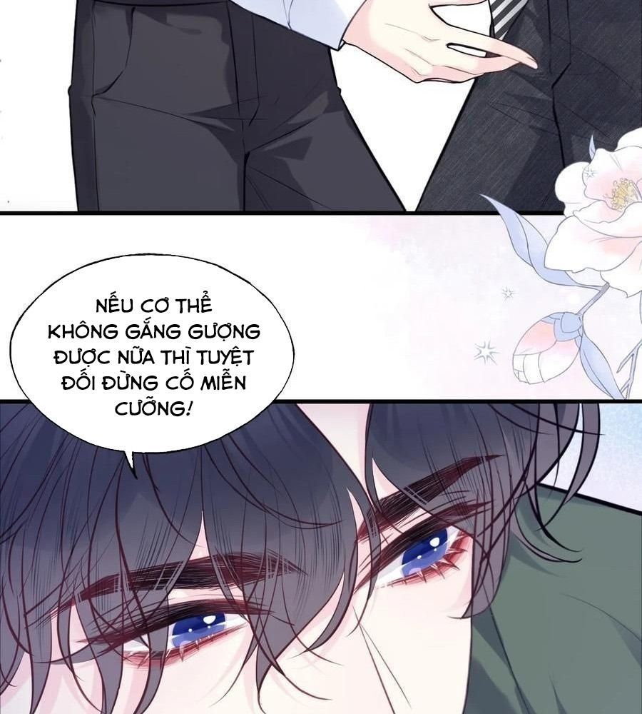 Anh Ấy Chưa Từng Sa Ngã - Chapter 96 - Page 33