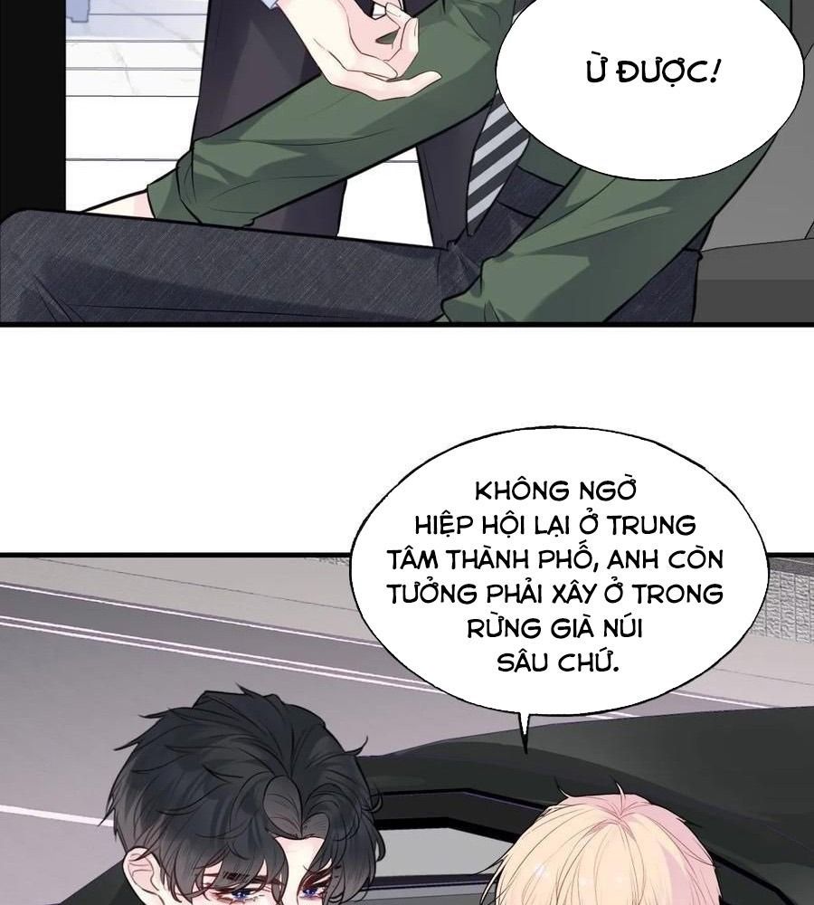 Anh Ấy Chưa Từng Sa Ngã - Chapter 96 - Page 58