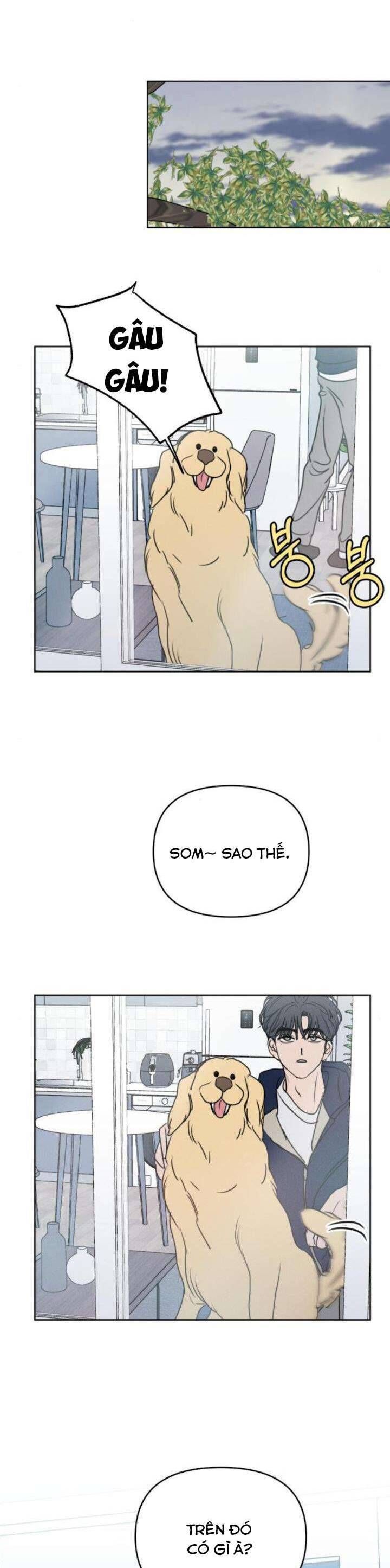 Muốn Được Lừa Dối - Chapter 20 - Page 39