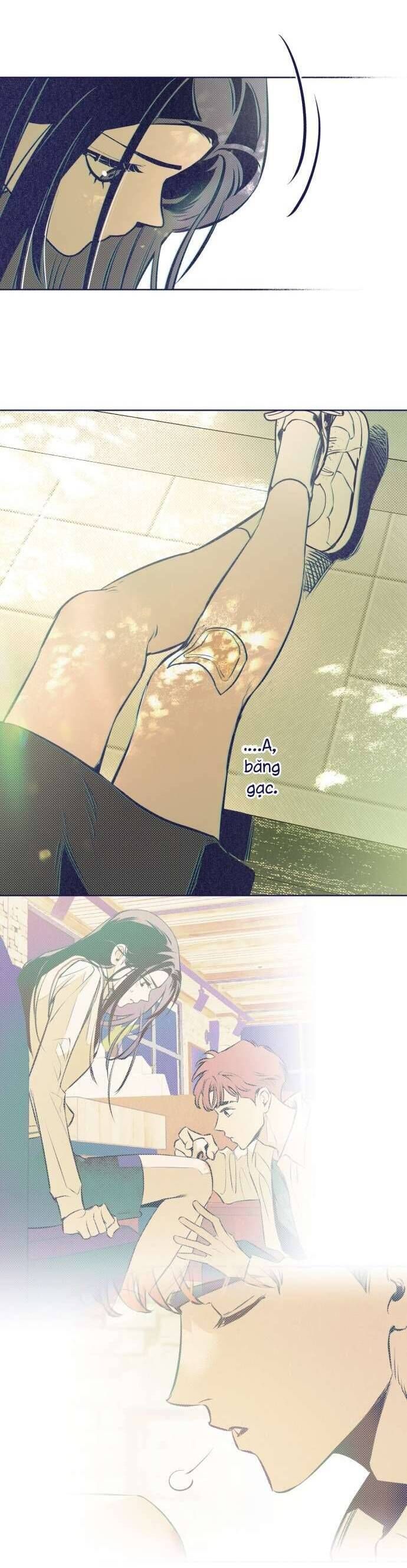 Trắc Nghiệm 4 Lựa Chọn - Chapter 4 - Page 22