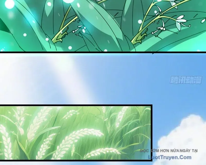 Người Khác Luyện Cấp Ta Tu Tiên, Tới Đại Thừa Kỳ Thì Rời Núi - Chapter 7 - Page 84