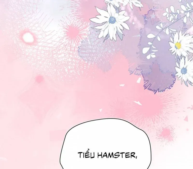 Cạm Bẫy Của Hắn - Chapter 34 - Page 19