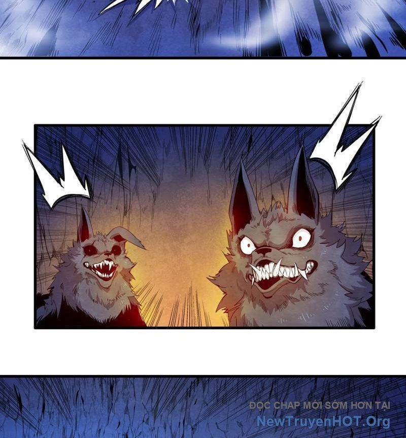 Xuyên Không Thành Ma Tôn Pháo Hôi? Nhưng Ta Là Streamer Công Lược - Chapter 5 - Page 5