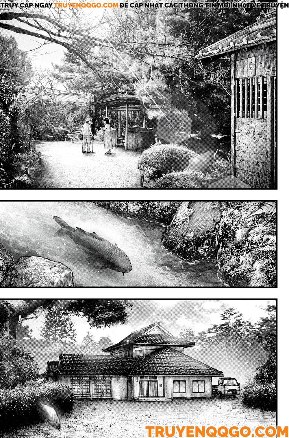 Cá Koi Nishiki - Chapter 1 - Page 3