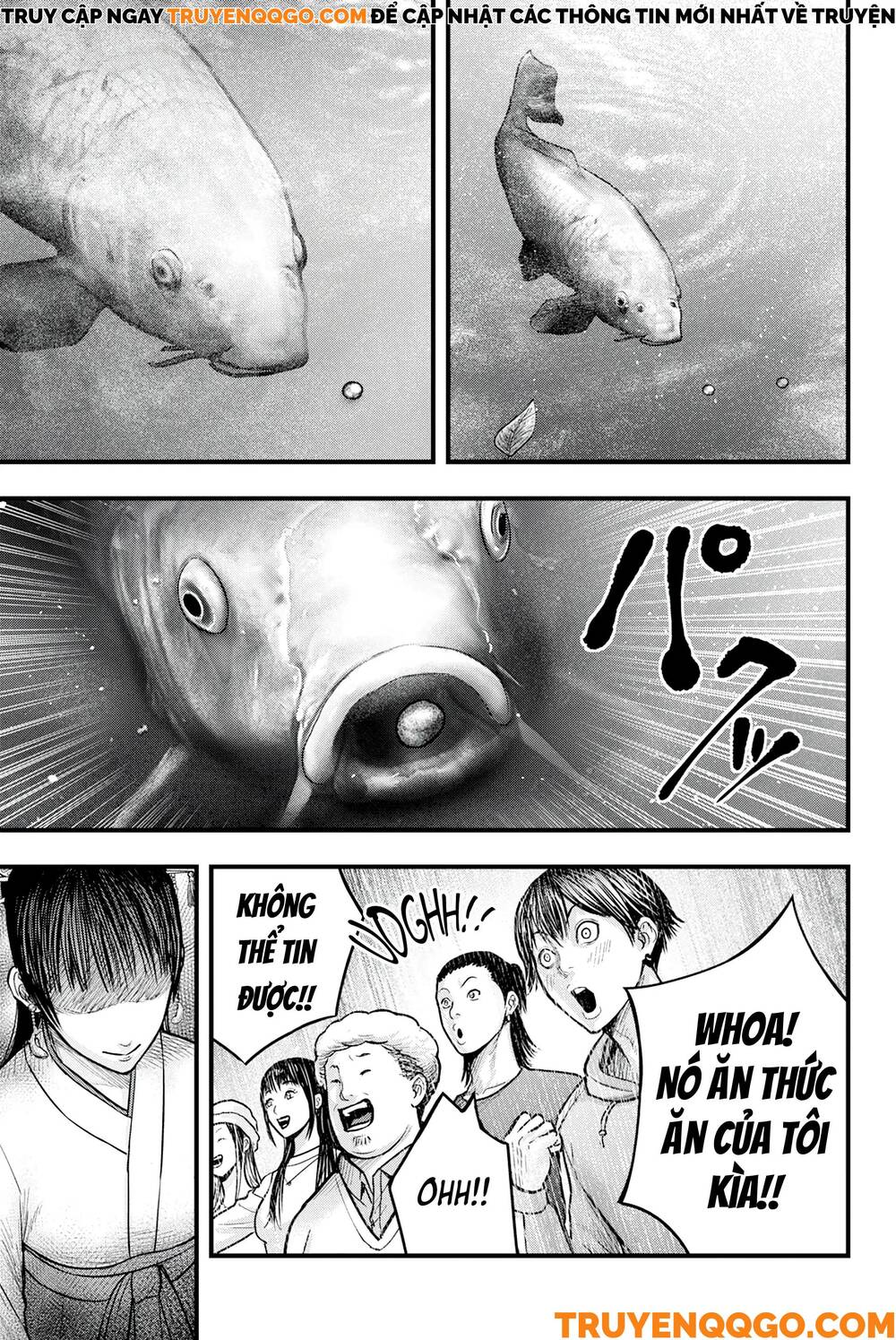 Cá Koi Nishiki - Chapter 1 - Page 31