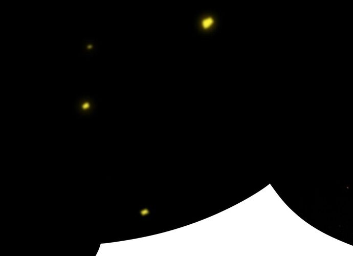 Thánh Hiệp Sĩ Cấp SSS - Chapter 23 - Page 108