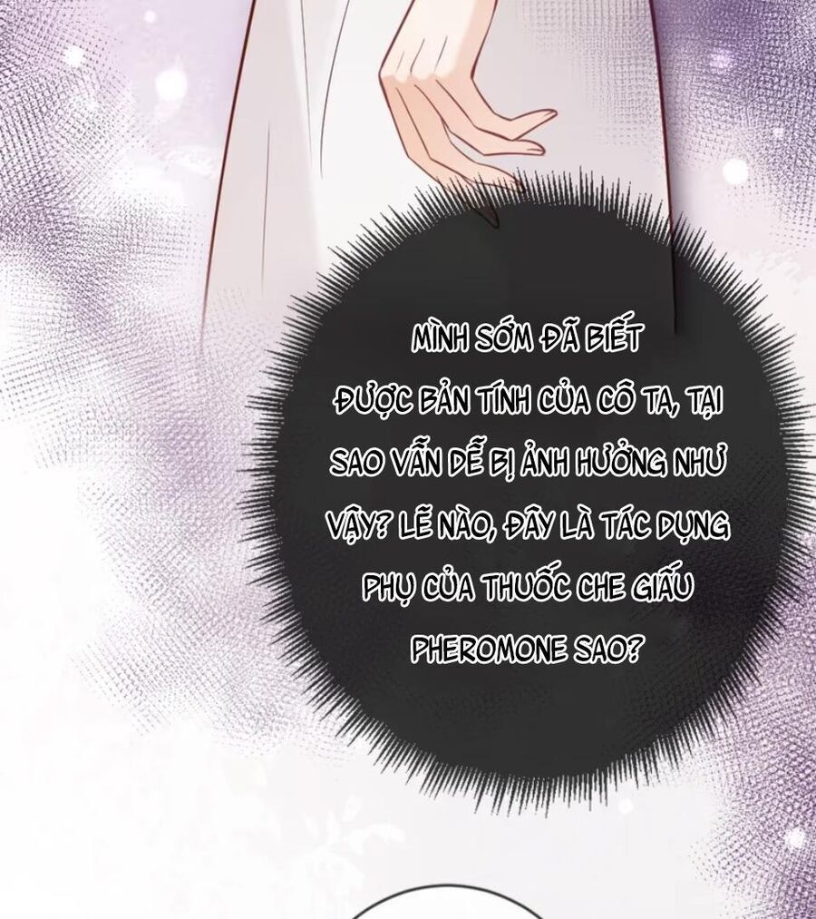 Nữ Chính Hắc Nguyệt Quang Luôn Muốn Đánh Dấu Tôi - Chapter 13 - Page 13