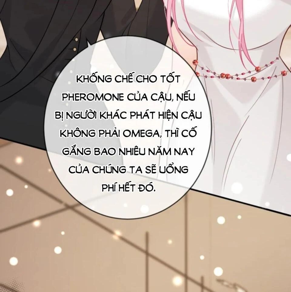 Nữ Chính Hắc Nguyệt Quang Luôn Muốn Đánh Dấu Tôi - Chapter 13 - Page 15