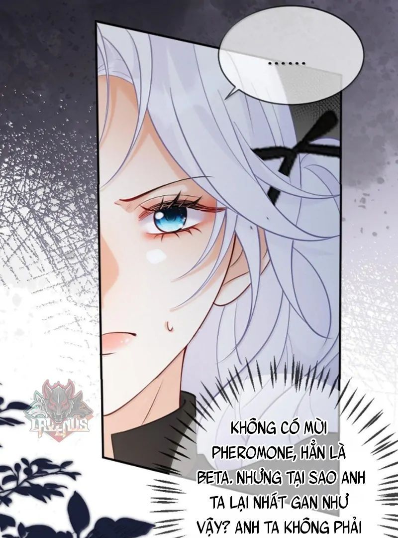 Nữ Chính Hắc Nguyệt Quang Luôn Muốn Đánh Dấu Tôi - Chapter 19 - Page 27