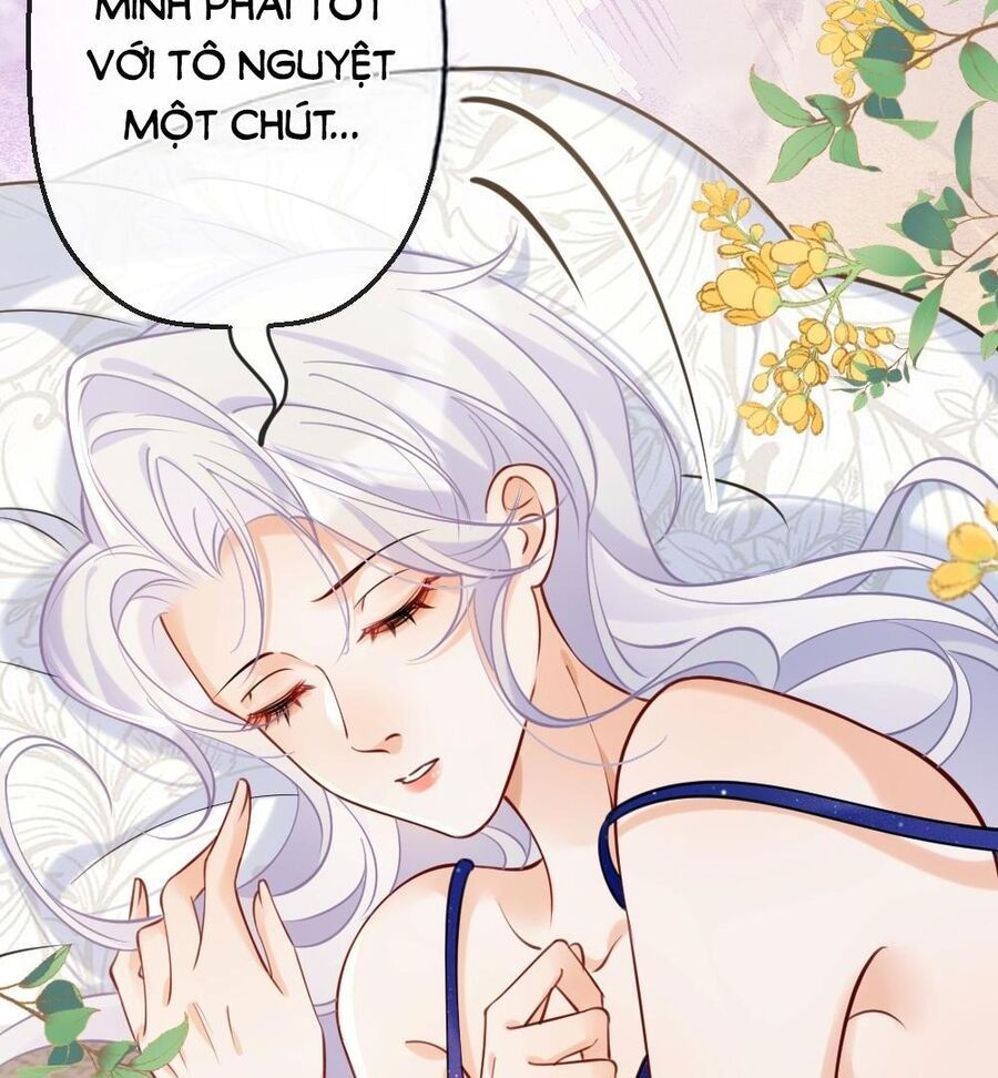 Nữ Chính Hắc Nguyệt Quang Luôn Muốn Đánh Dấu Tôi - Chapter 2 - Page 3