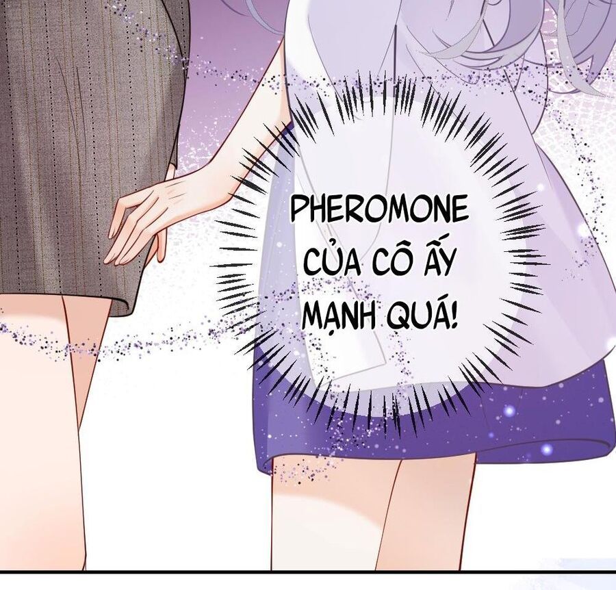 Nữ Chính Hắc Nguyệt Quang Luôn Muốn Đánh Dấu Tôi - Chapter 2 - Page 36