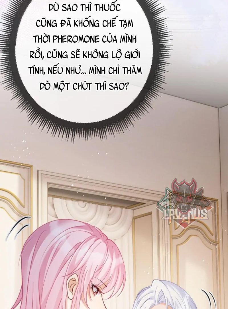 Nữ Chính Hắc Nguyệt Quang Luôn Muốn Đánh Dấu Tôi - Chapter 28 - Page 29