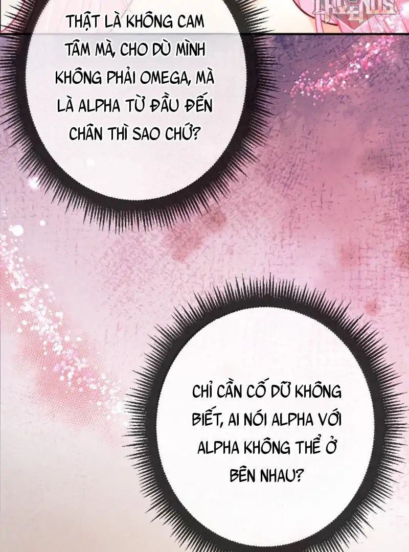 Nữ Chính Hắc Nguyệt Quang Luôn Muốn Đánh Dấu Tôi - Chapter 28 - Page 5