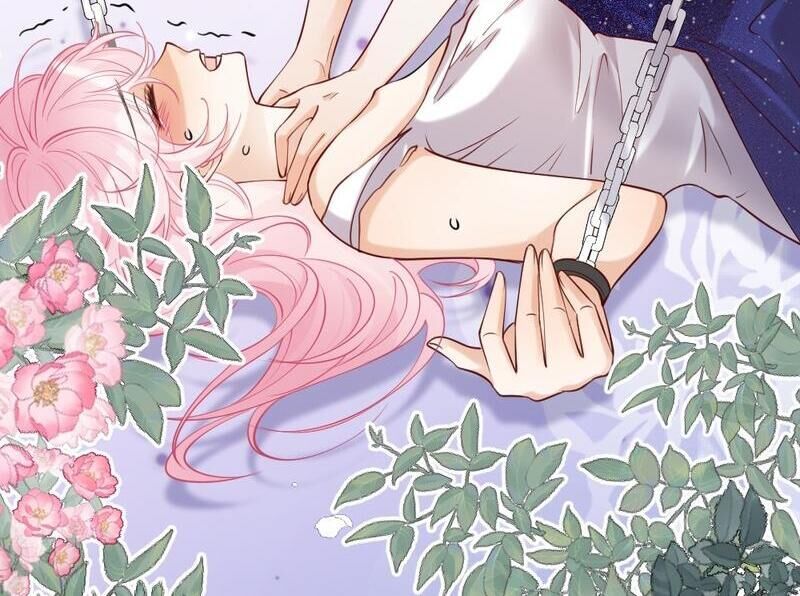 Nữ Chính Hắc Nguyệt Quang Luôn Muốn Đánh Dấu Tôi - Chapter 4 - Page 4