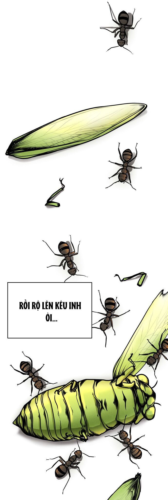 Vỏ Bọc - Chapter 2 - Page 3