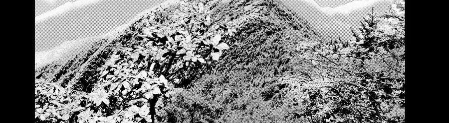 Alice In Borderland - Chapter 14 - Page 39