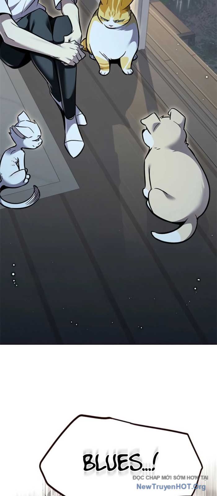 Hoá Thân Thành Mèo - Chapter 369 - Page 67