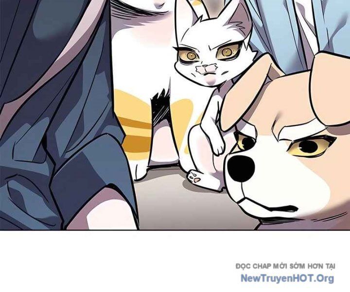 Hoá Thân Thành Mèo - Chapter 370 - Page 102