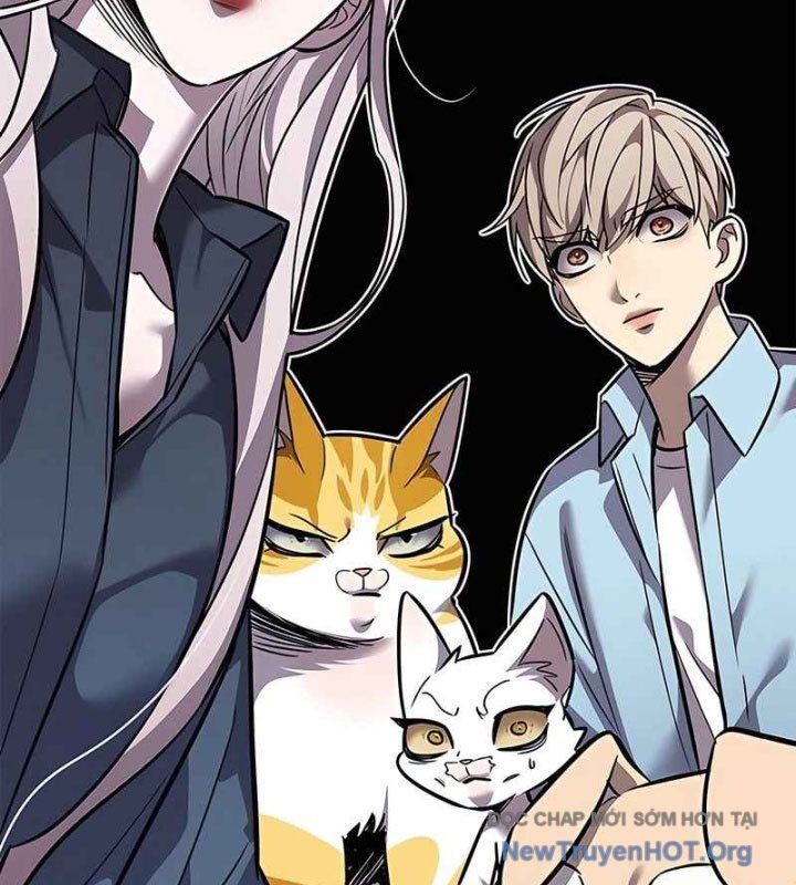Hoá Thân Thành Mèo - Chapter 370 - Page 104