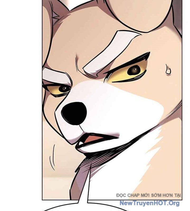 Hoá Thân Thành Mèo - Chapter 370 - Page 126