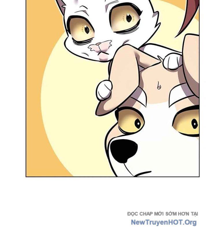 Hoá Thân Thành Mèo - Chapter 370 - Page 132