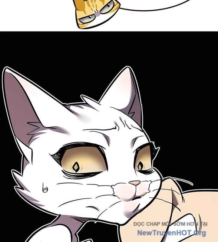 Hoá Thân Thành Mèo - Chapter 370 - Page 142