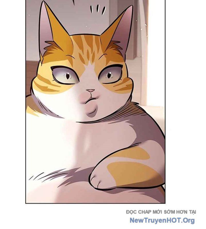 Hoá Thân Thành Mèo - Chapter 370 - Page 167