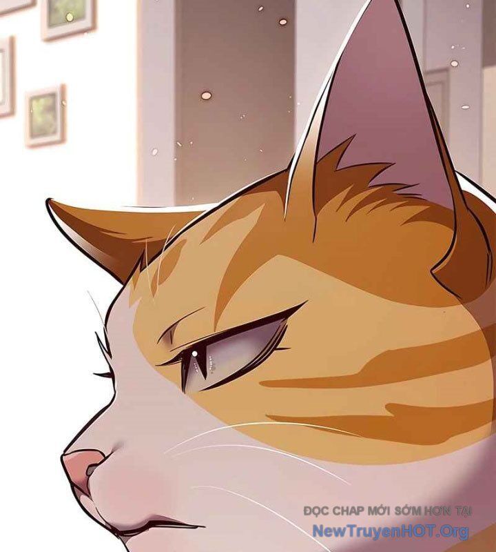 Hoá Thân Thành Mèo - Chapter 370 - Page 173