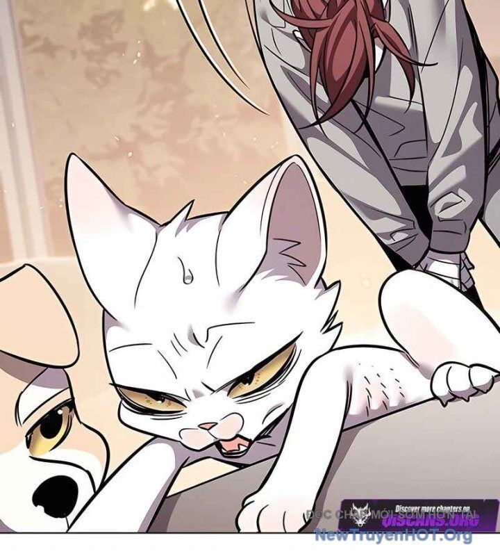 Hoá Thân Thành Mèo - Chapter 370 - Page 63